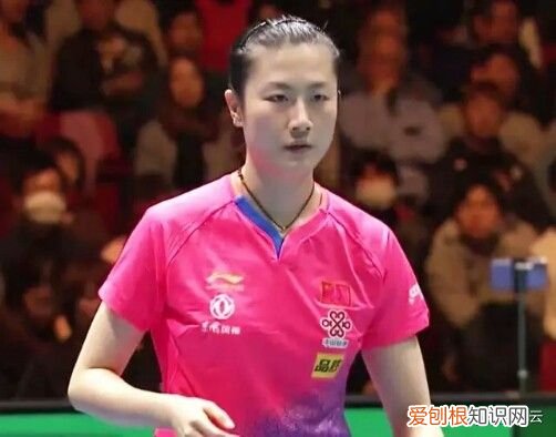 世界乒坛成就十名大满贯 乒乓球大满贯