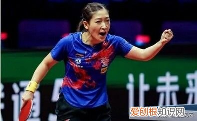 世界乒坛成就十名大满贯 乒乓球大满贯