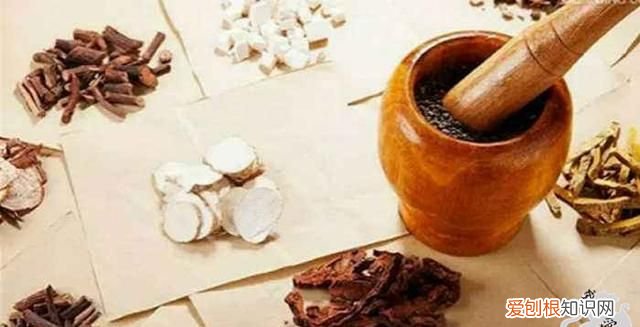 华佗的麻沸散真的失传了吗