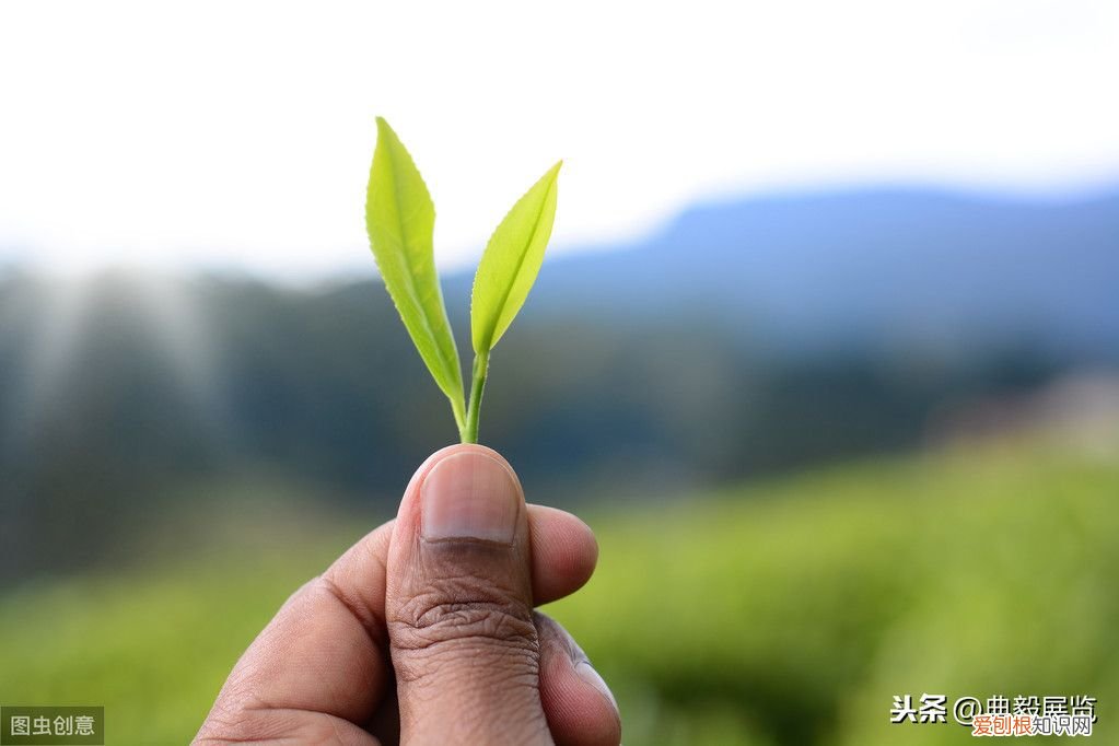 颜色寓意”即不同颜色的不同寓意 颜色的含义是