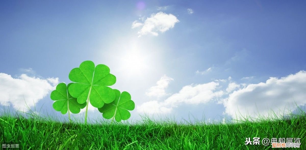 颜色寓意”即不同颜色的不同寓意 颜色的含义是