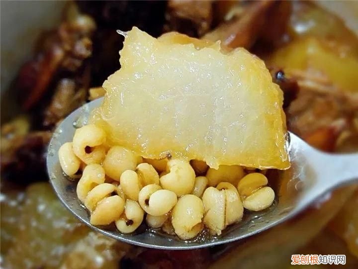 入秋要喝黄金汤，20个汤谱 秋季煲汤食谱大全