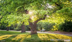 动名词作主语和宾语考点归纳 动名词作宾语