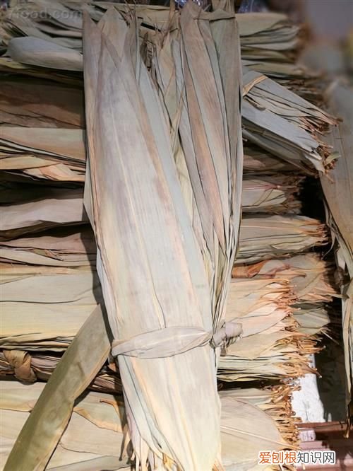 干粽叶要泡多久 干粽叶怎么处理才能包粽子