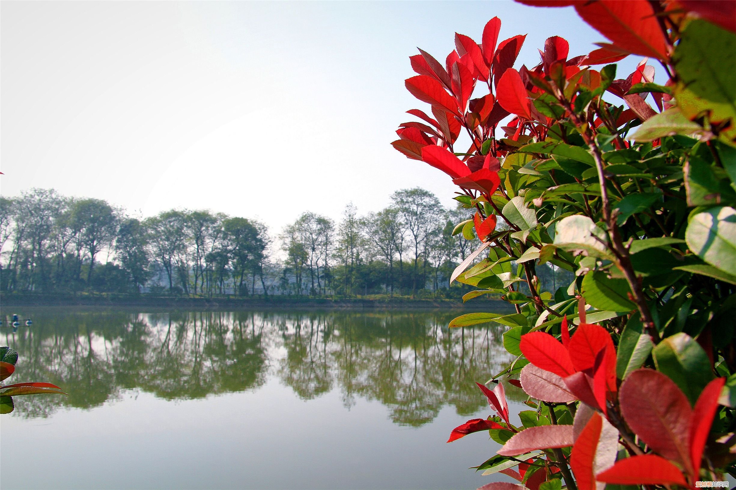 在江西南昌的凤凰沟 凤凰沟风景区