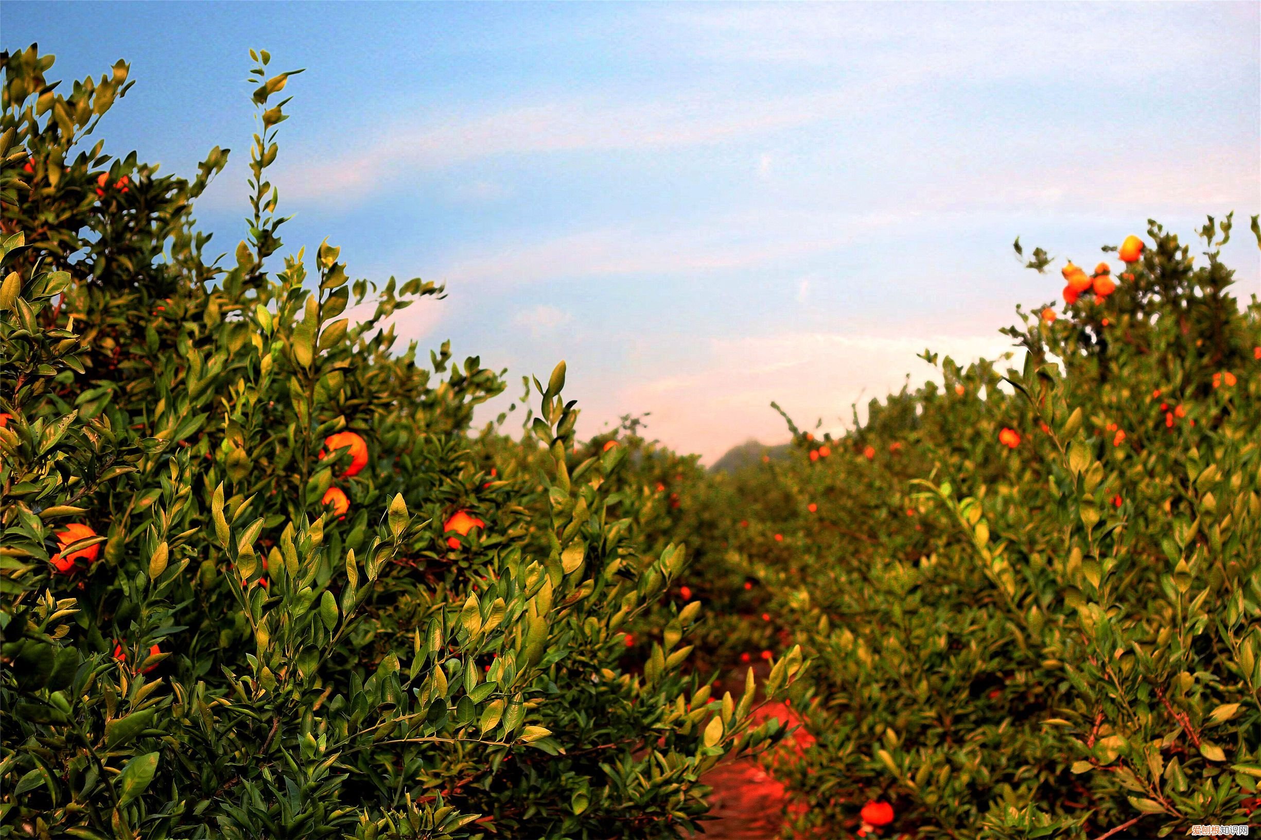 在江西南昌的凤凰沟 凤凰沟风景区