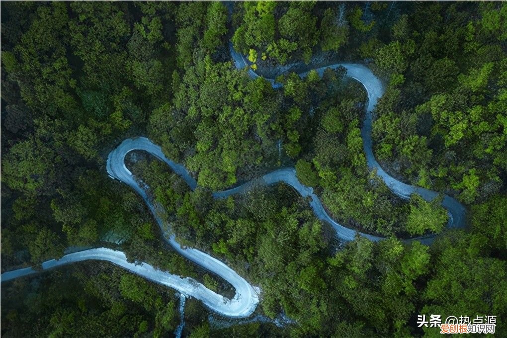 附地球日由来介绍 地球日是什么意思