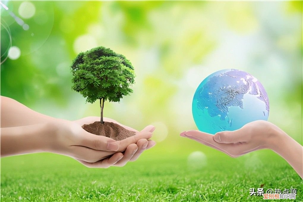 附地球日由来介绍 地球日是什么意思