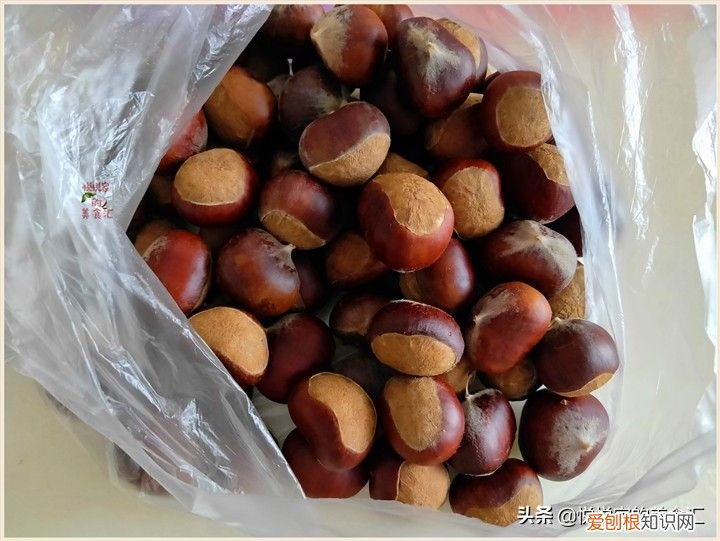 板栗最好的4种保存方法 板栗怎么保存不会坏