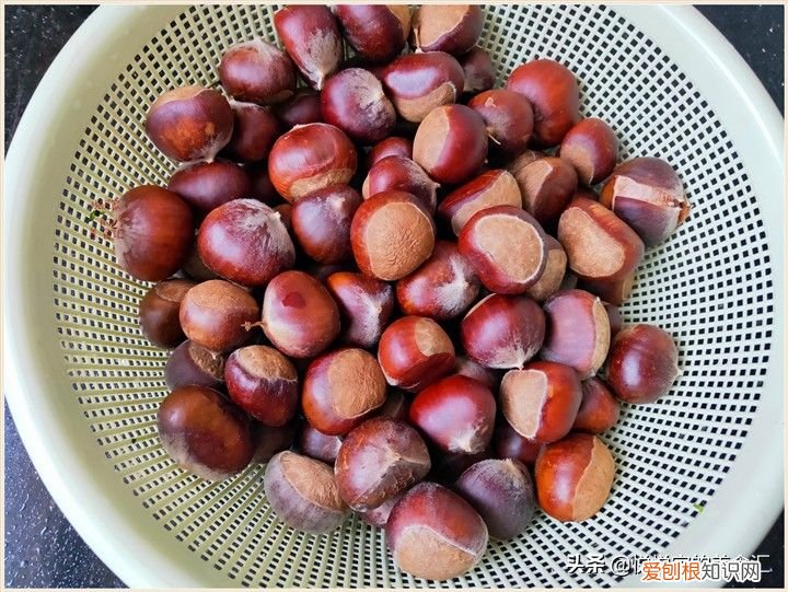 板栗最好的4种保存方法 板栗怎么保存不会坏