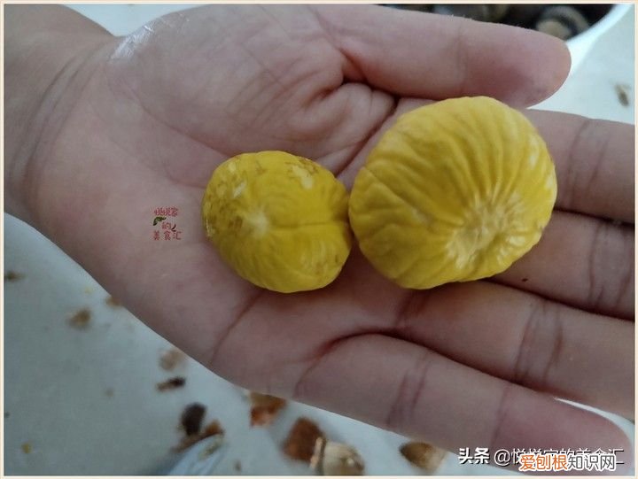 板栗最好的4种保存方法 板栗怎么保存不会坏