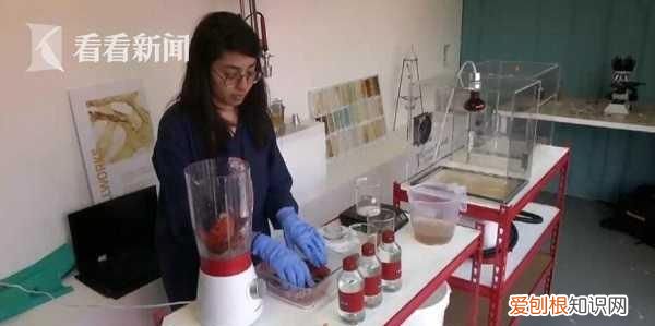 龙虾壳可以降解塑料袋吗 龙虾壳可降解环保袋