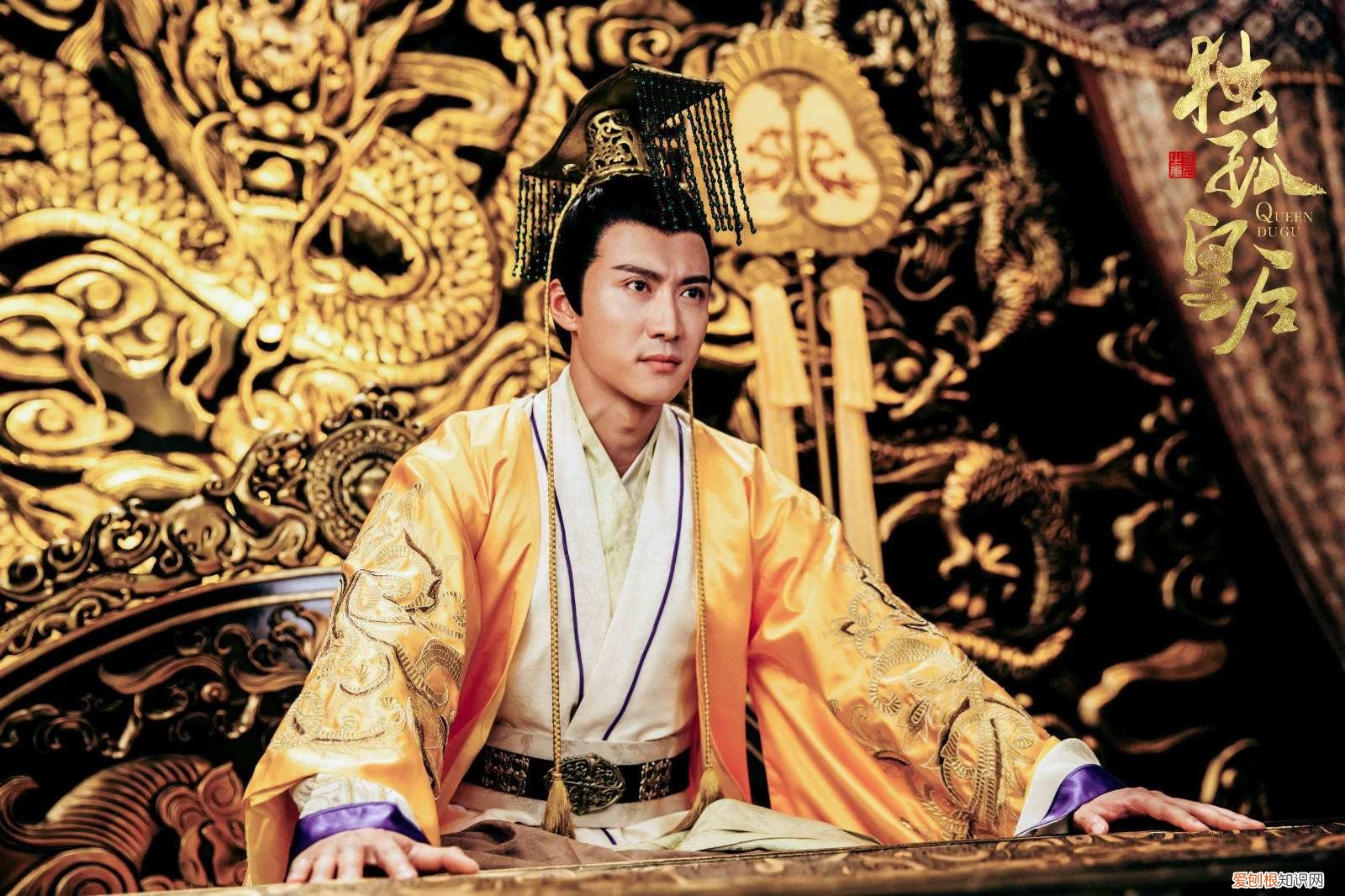 枭雄皇帝宇文邕 周武帝宇文邕