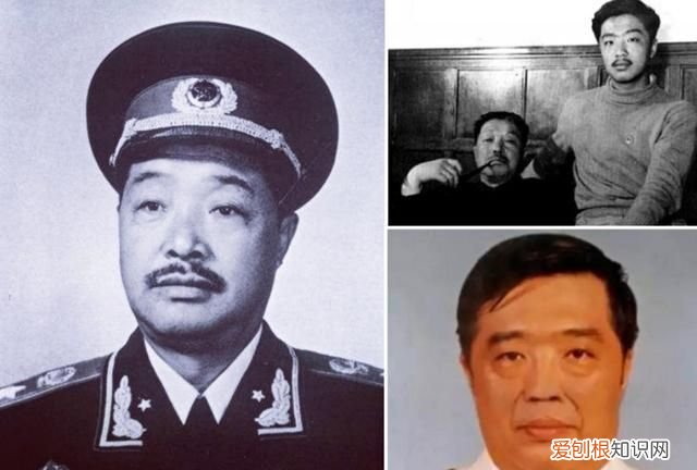 抗美援朝十大元帅都在干嘛