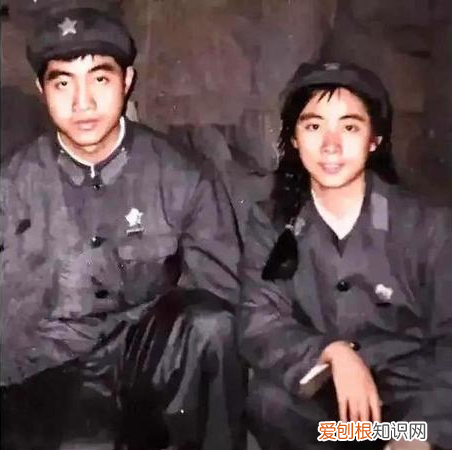 抗美援朝十大元帅都在干嘛