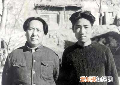 抗美援朝十大元帅都在干嘛