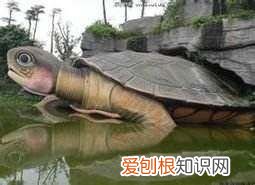 中国神话四大灵兽是哪四种? 四大灵兽