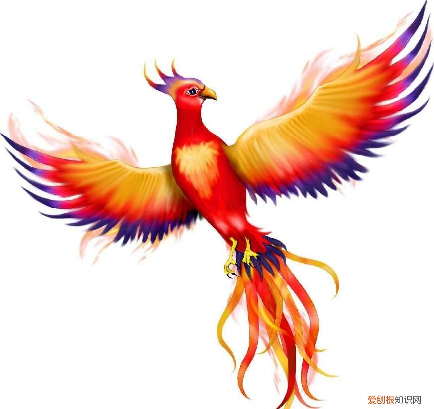 中国神话四大灵兽是哪四种？ 四大灵兽