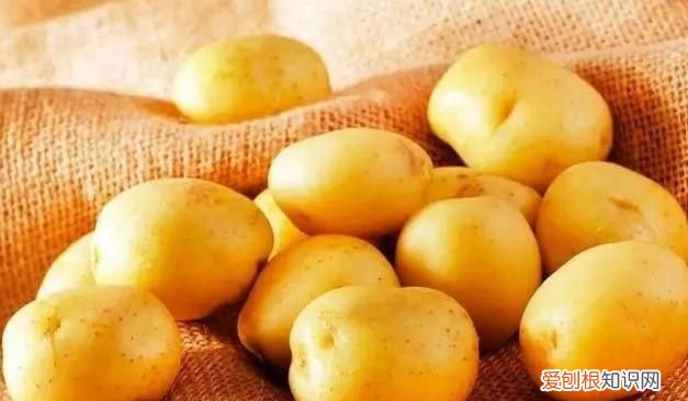 什么食物含钾最多，什么食物里面含钾多