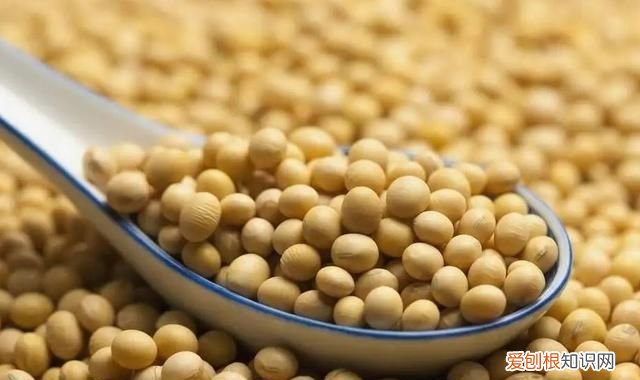 什么食物含钾最多，什么食物里面含钾多