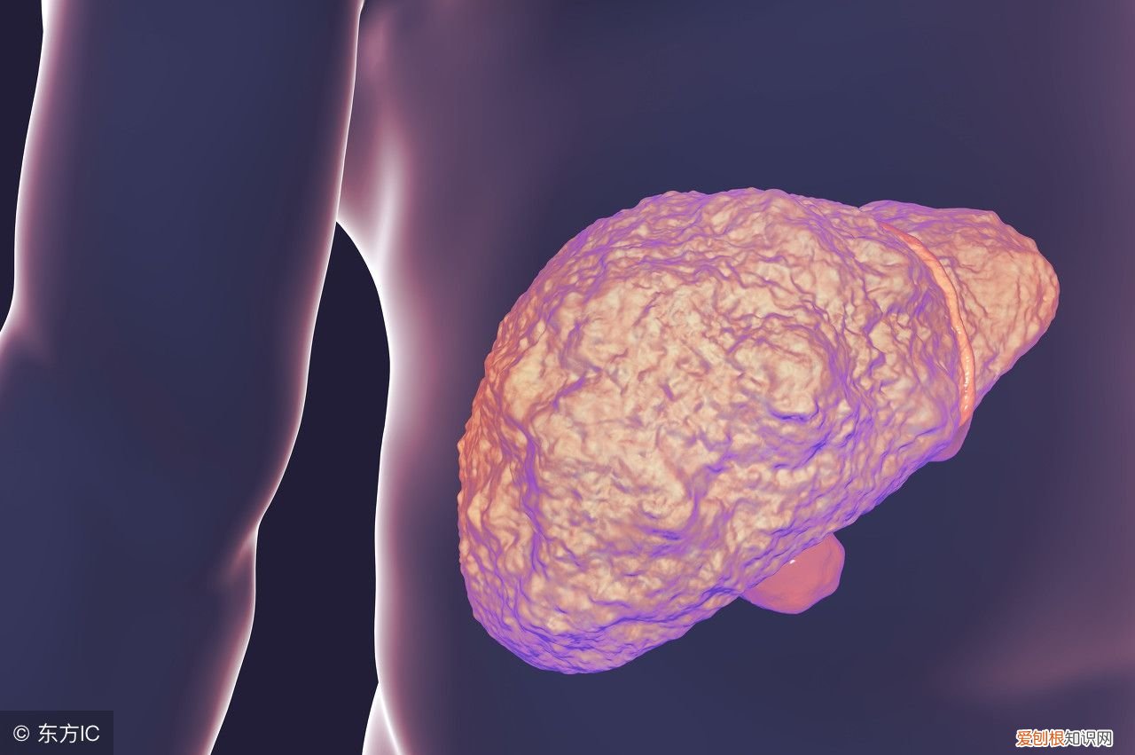 脸上油脂分泌旺盛怎么办 油脂分泌旺盛