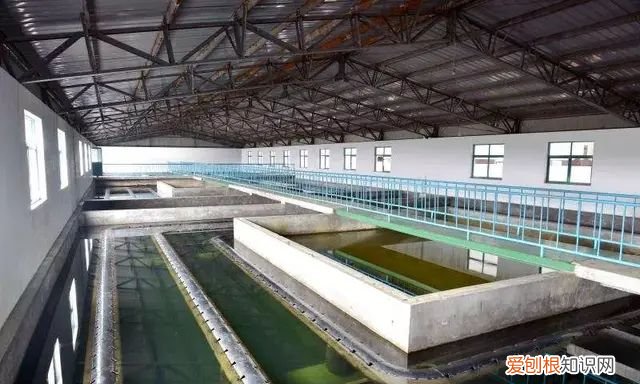 处理污水中重金属的三种方法