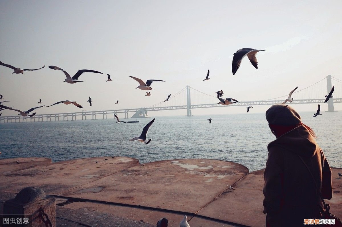 余秀华现代诗歌十首 余秀华最好的十首诗