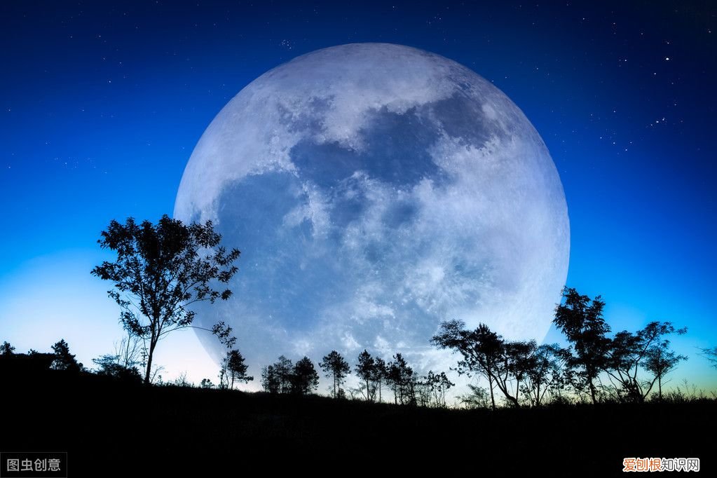 余秀华现代诗歌十首 余秀华最好的十首诗