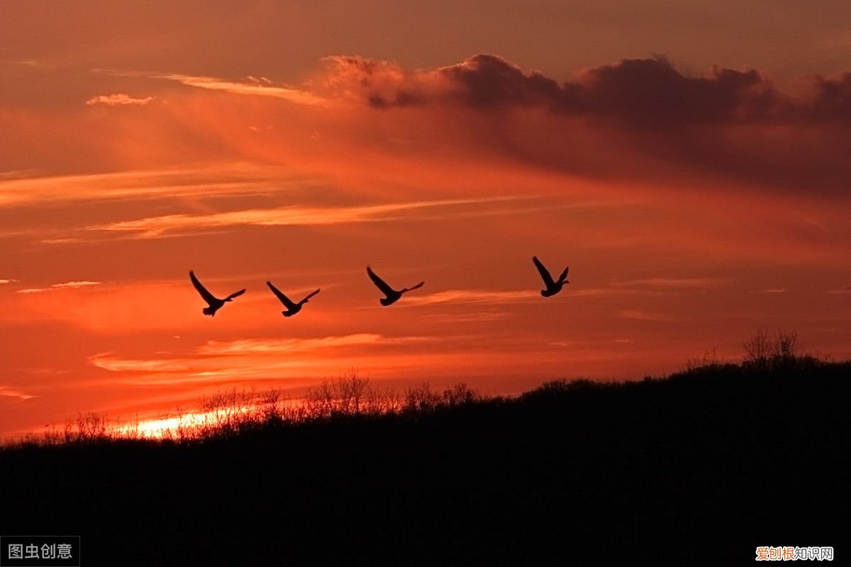 余秀华现代诗歌十首 余秀华最好的十首诗