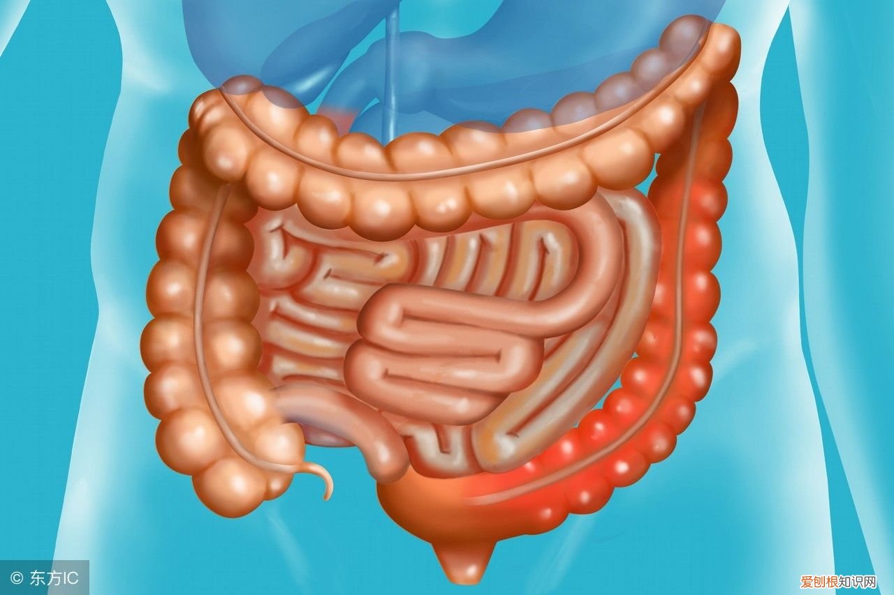 治疗大肠息肉，无非就这几个方法 大肠息肉的治疗方法