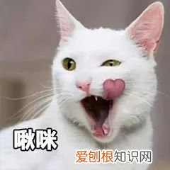 这6款一生推的晒后修护产品 晒后修复产品
