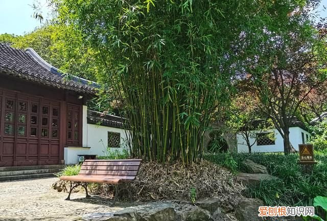 上海古漪园旅游攻略 上海的古漪园