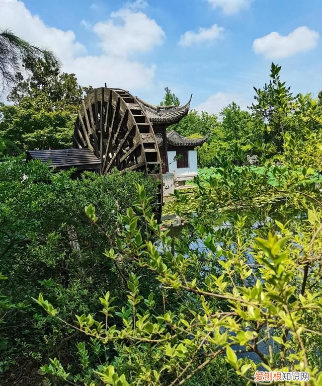上海古漪园旅游攻略 上海的古漪园