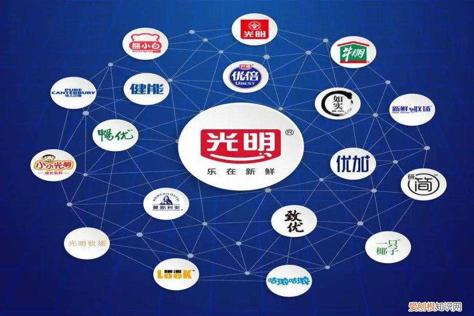 282亿光明乳业，挺过艰难的一年