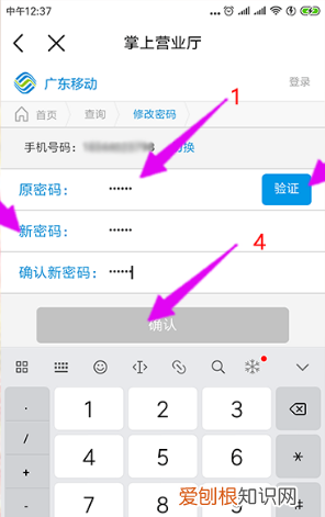 移动服务密码怎么查，教你如何获得手机的客户服务密码
