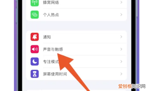 苹果手机怎么静音，苹果手机可以怎么样进行静音