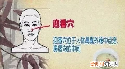鼻炎不用慌，一个穴位、 迎香穴位位置图