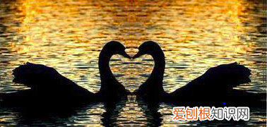 ps如何把两张拼在一起，ps上可以怎么样消除拼接痕迹