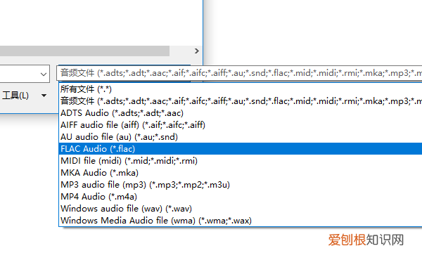 ppt支持什么格式的格式，在PPT插入需要转换什么格式