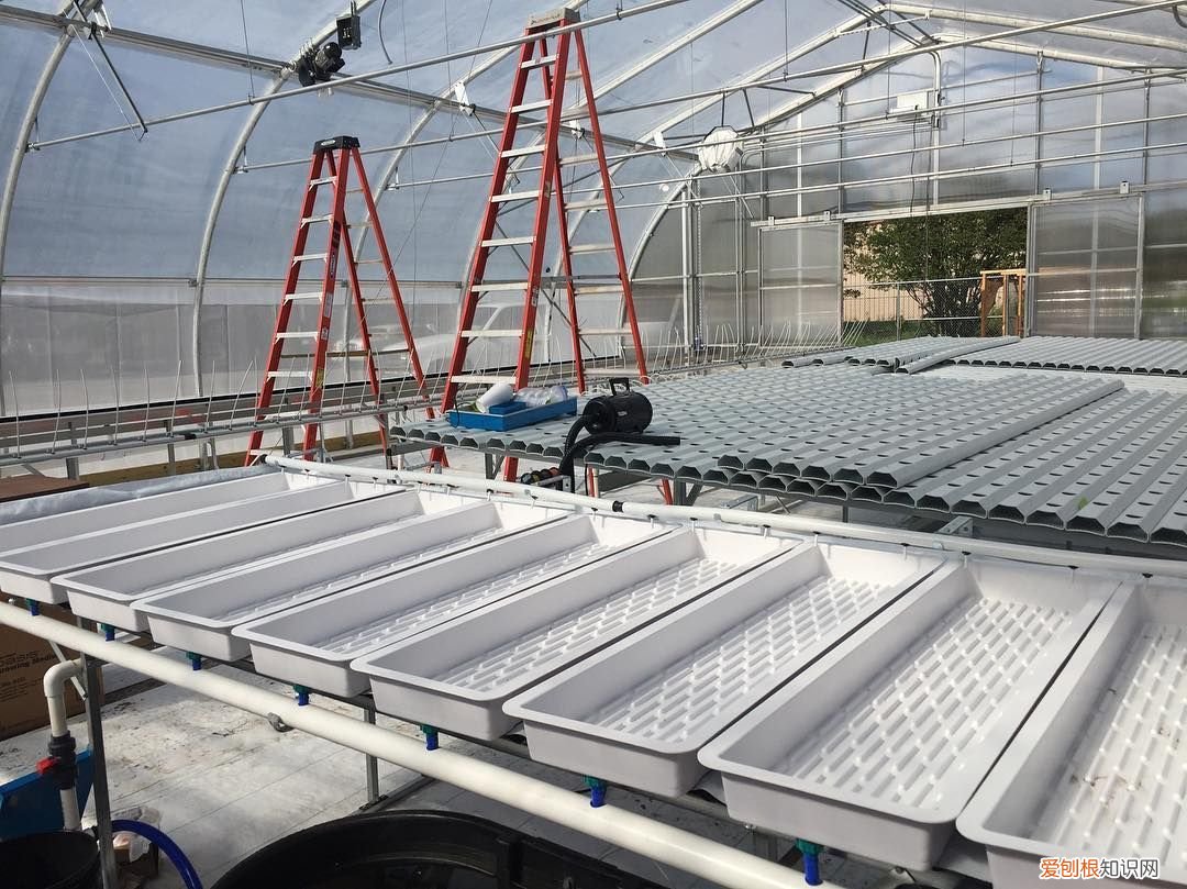 无土栽培营养液常用的原来就是这三种 无土栽培营养液