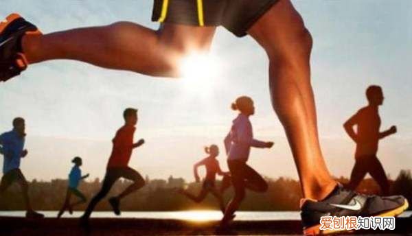 有氧运动和无氧运动的区别