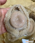 鲍鱼如何泡发