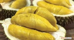 榴莲特别甜正常吗，榴莲不臭还很甜是怎么回事