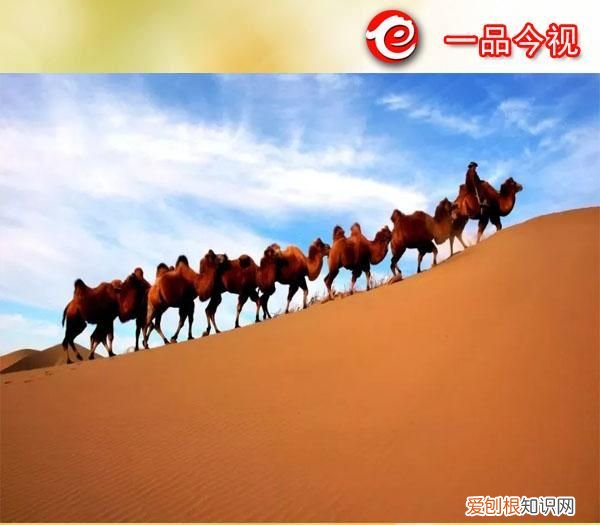 赤峰市各个旗县名字的由来和历史