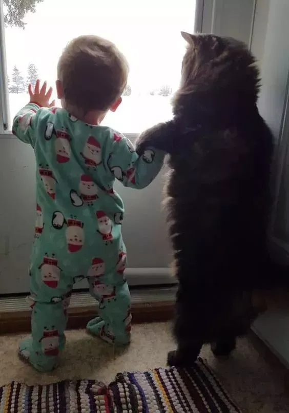 世界上最可爱的40张照片 最可爱图片