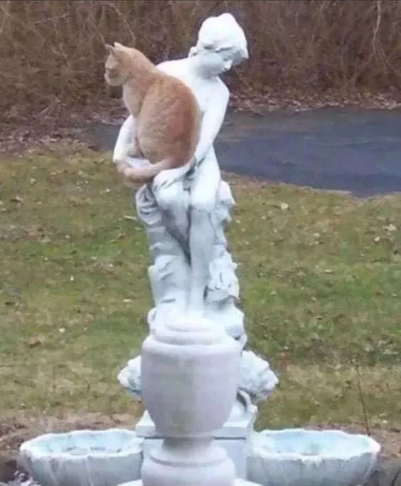 世界上最可爱的40张照片 最可爱图片