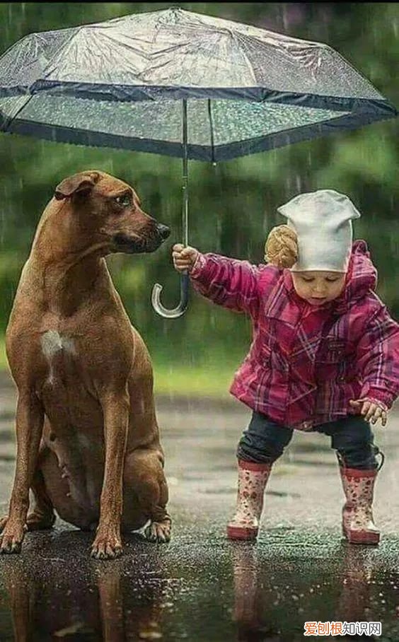 世界上最可爱的40张照片 最可爱图片