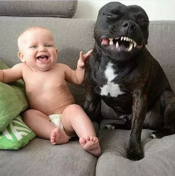 世界上最可爱的40张照片 最可爱图片