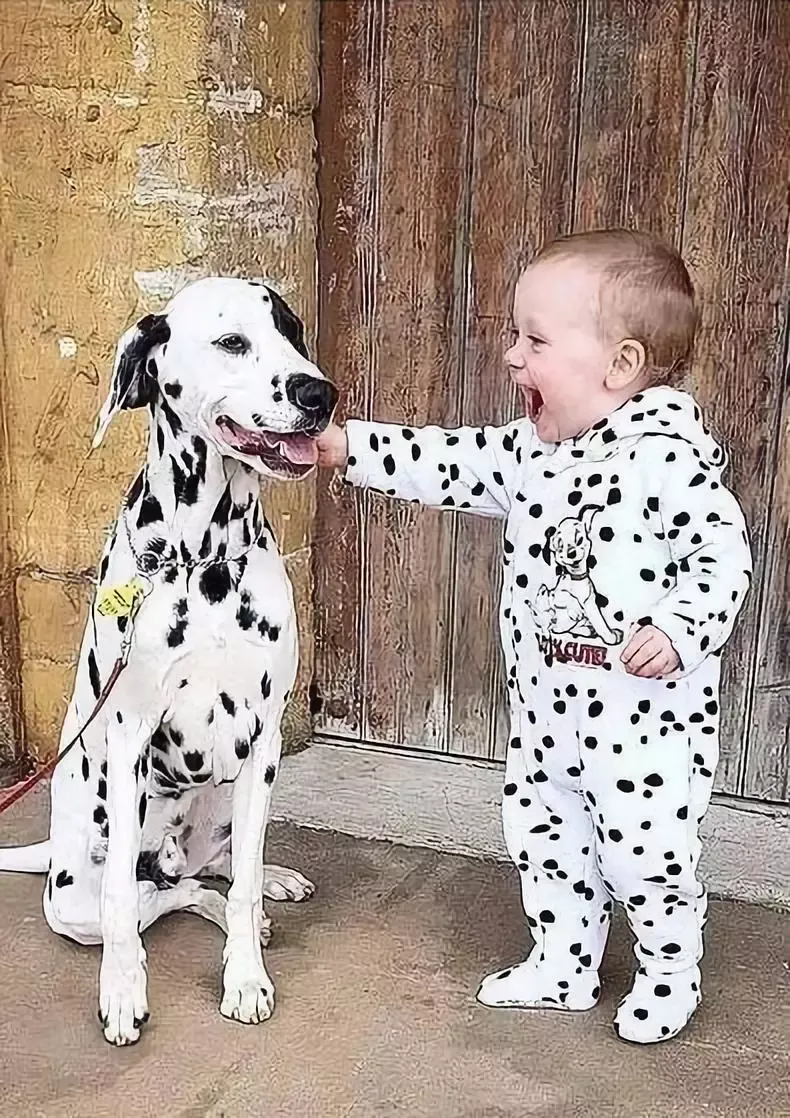 世界上最可爱的40张照片 最可爱图片