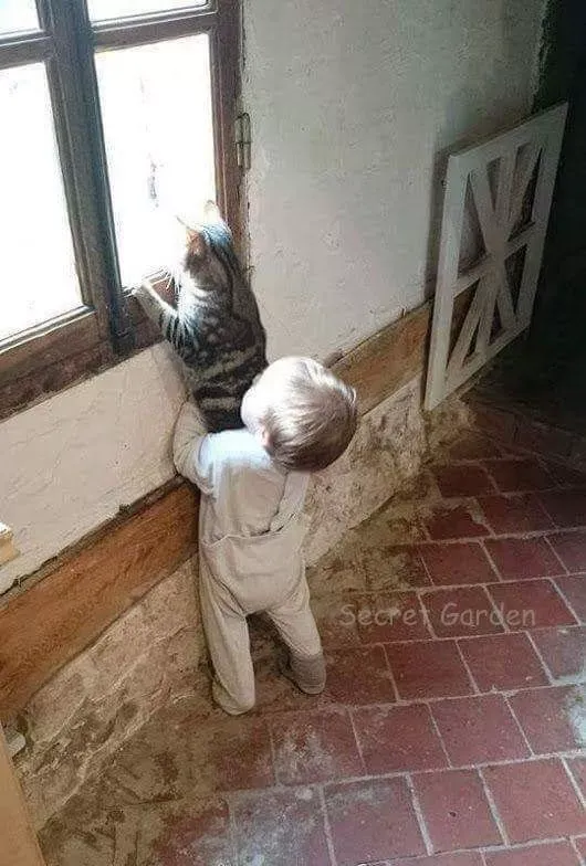 世界上最可爱的40张照片 最可爱图片